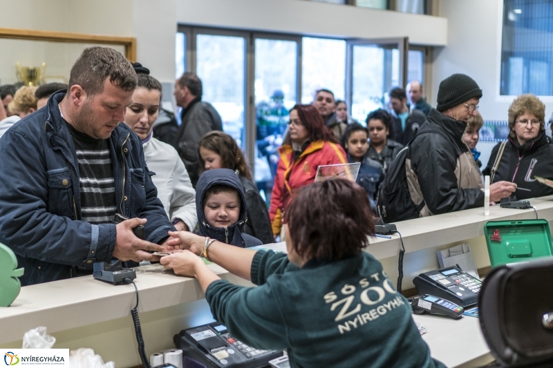 Húsvét a Nyíregyházi Állatparkban - fotó Kohut Árpád