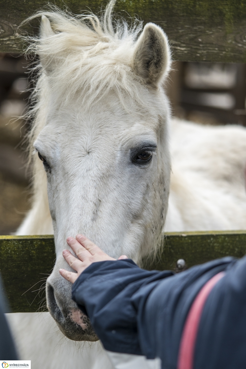 Húsvét a Nyíregyházi Állatparkban - fotó Kohut Árpád