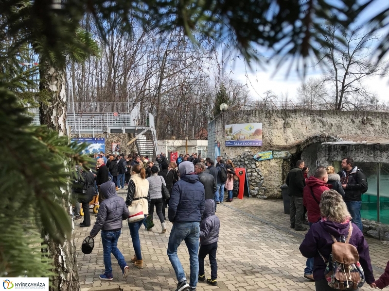 Húsvét a Nyíregyházi Állatparkban - fotó Kohut Árpád