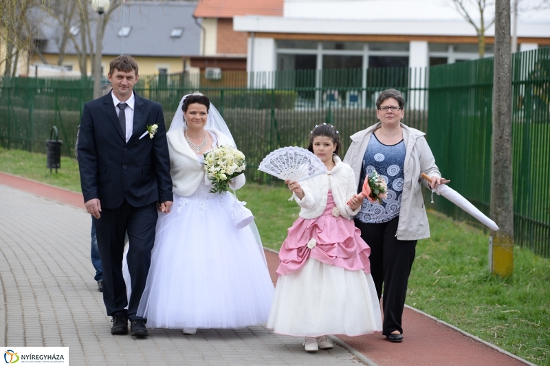 Téli álomból ébredezik Sóstó - fotó Trifonov Éva