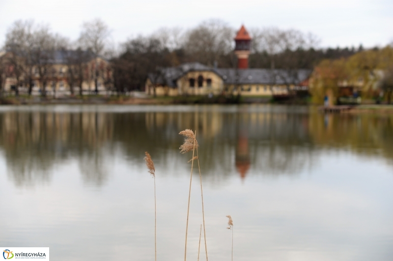 Téli álomból ébredezik Sóstó - fotó Trifonov Éva