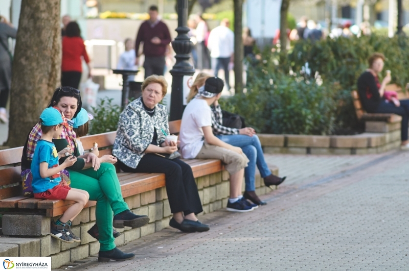 Az első tavaszi pillanatok - fotó Szarka Lajos