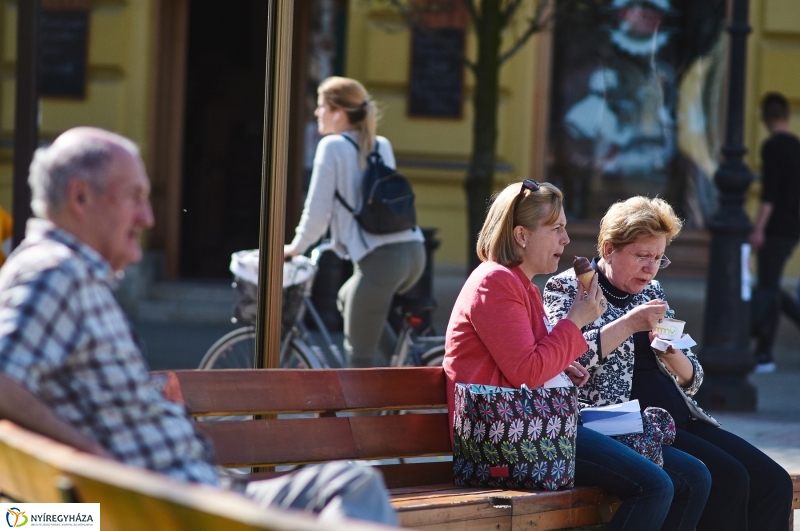 Az első tavaszi pillanatok - fotó Szarka Lajos