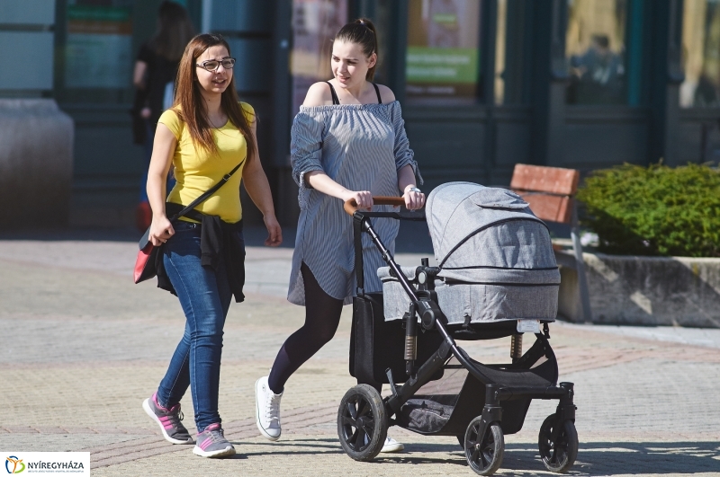 Az első tavaszi pillanatok - fotó Szarka Lajos