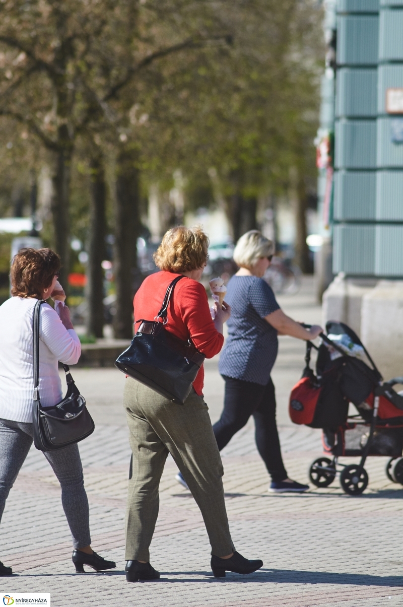 Az első tavaszi pillanatok - fotó Szarka Lajos