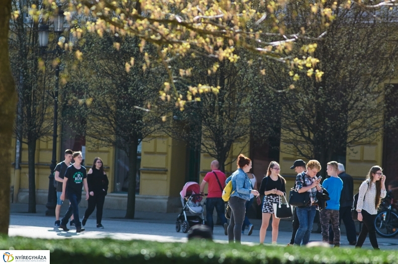 Az első tavaszi pillanatok - fotó Szarka Lajos
