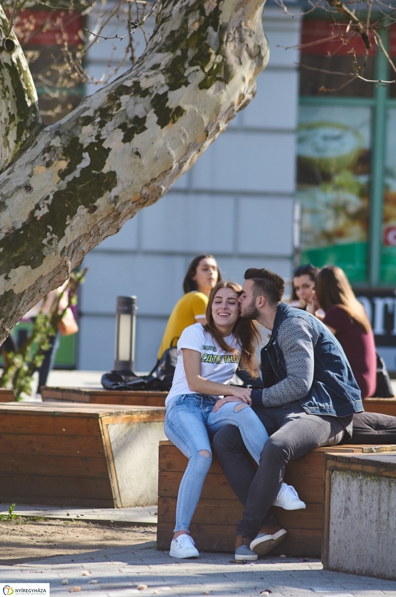 Az első tavaszi pillanatok - fotó Szarka Lajos