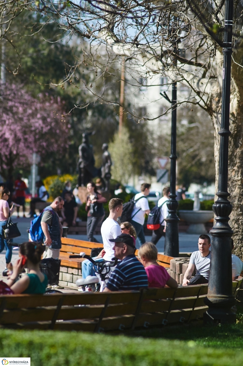 Az első tavaszi pillanatok - fotó Szarka Lajos