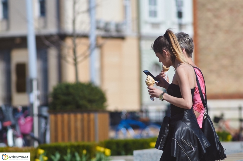 Az első tavaszi pillanatok - fotó Szarka Lajos