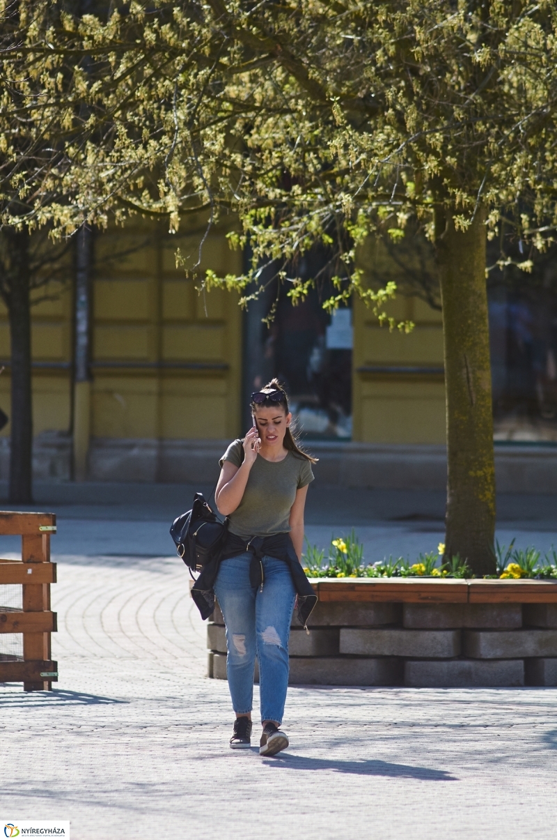 Az első tavaszi pillanatok - fotó Szarka Lajos
