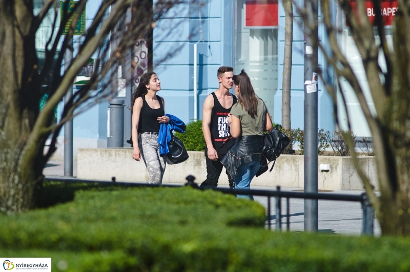 Az első tavaszi pillanatok - fotó Szarka Lajos