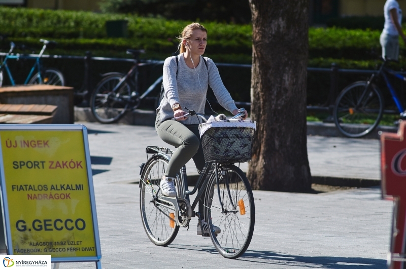 Az első tavaszi pillanatok - fotó Szarka Lajos