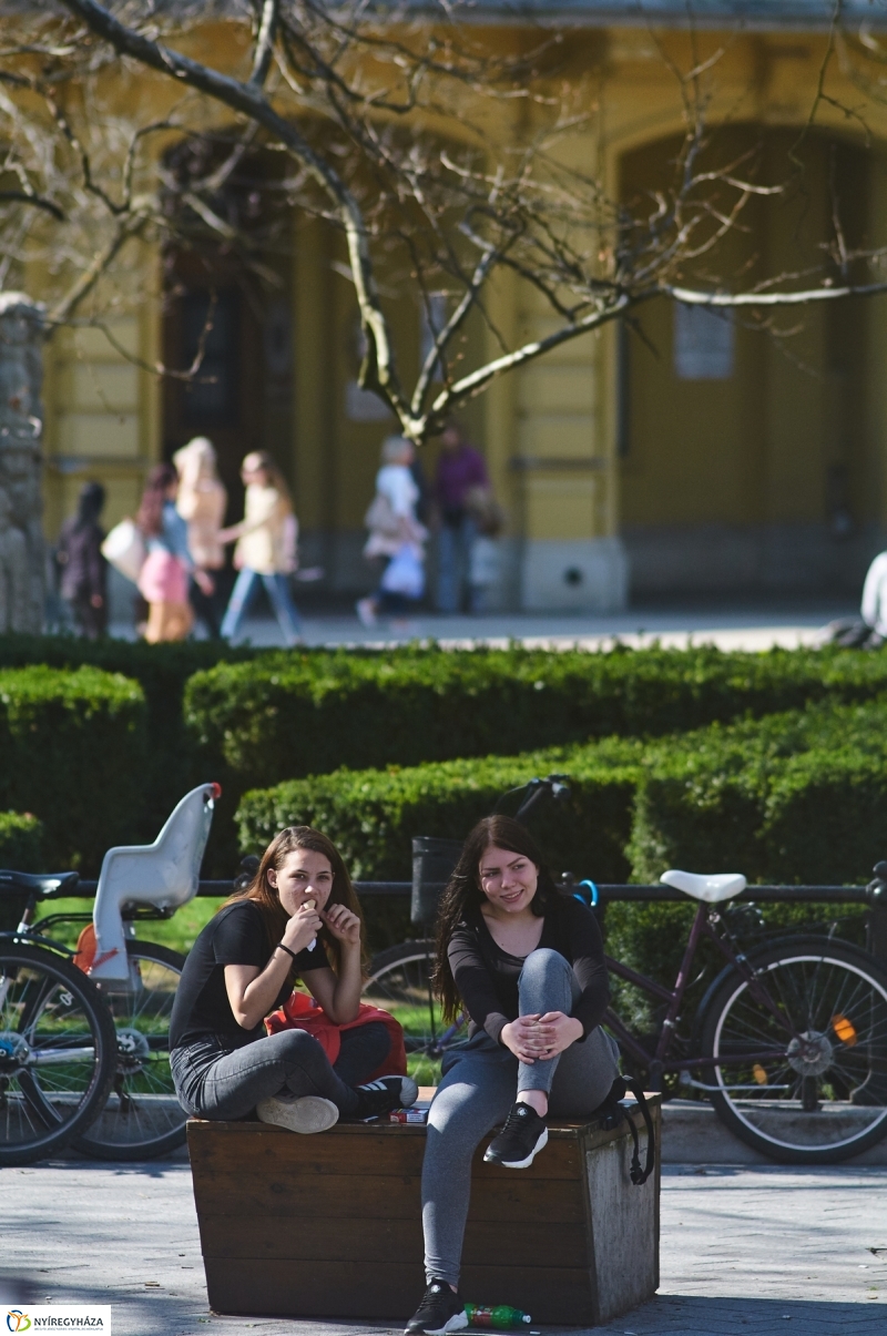 Az első tavaszi pillanatok - fotó Szarka Lajos