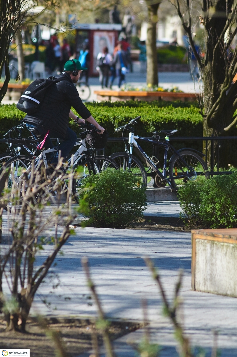 Az első tavaszi pillanatok - fotó Szarka Lajos