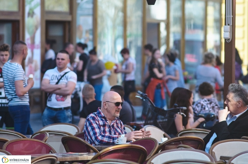 Az első tavaszi pillanatok - fotó Szarka Lajos