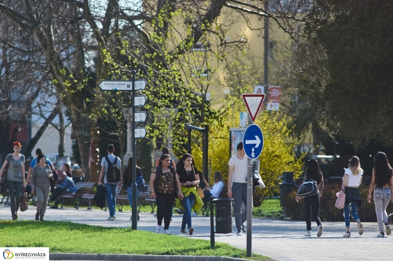 Az első tavaszi pillanatok - fotó Szarka Lajos