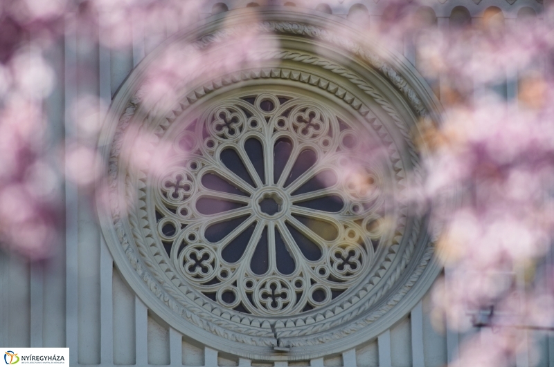 Az első tavaszi pillanatok - fotó Szarka Lajos