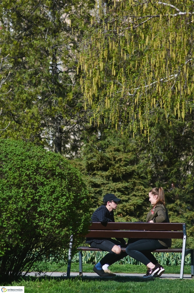 Az első tavaszi pillanatok - fotó Szarka Lajos