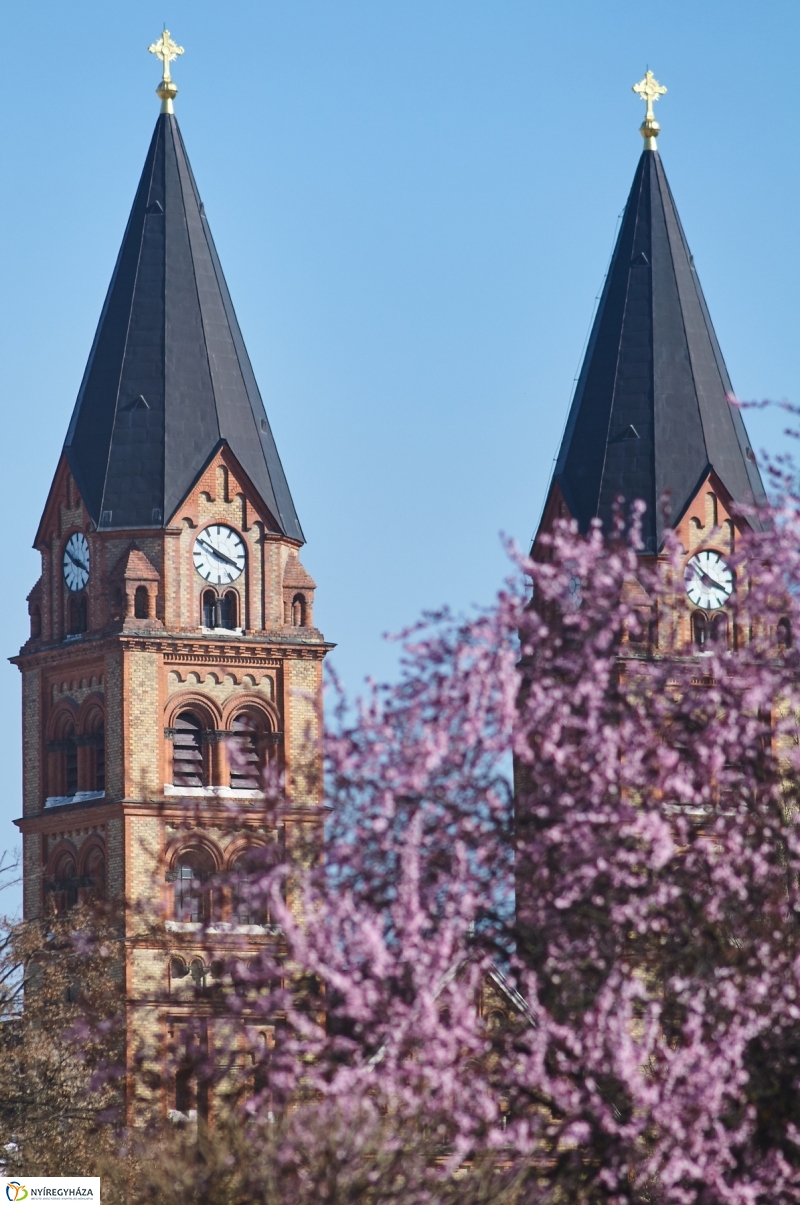 Az első tavaszi pillanatok - fotó Szarka Lajos
