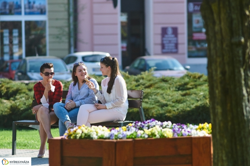 Az első tavaszi pillanatok - fotó Szarka Lajos
