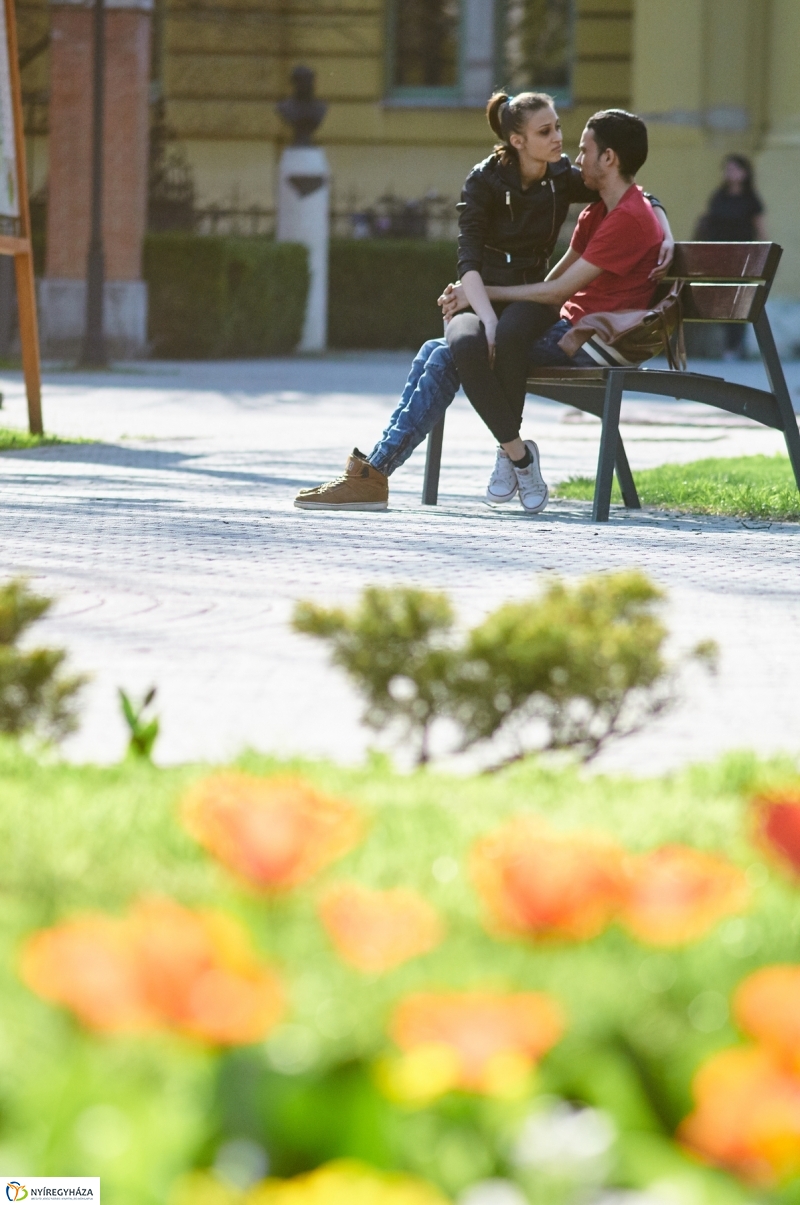 Az első tavaszi pillanatok - fotó Szarka Lajos