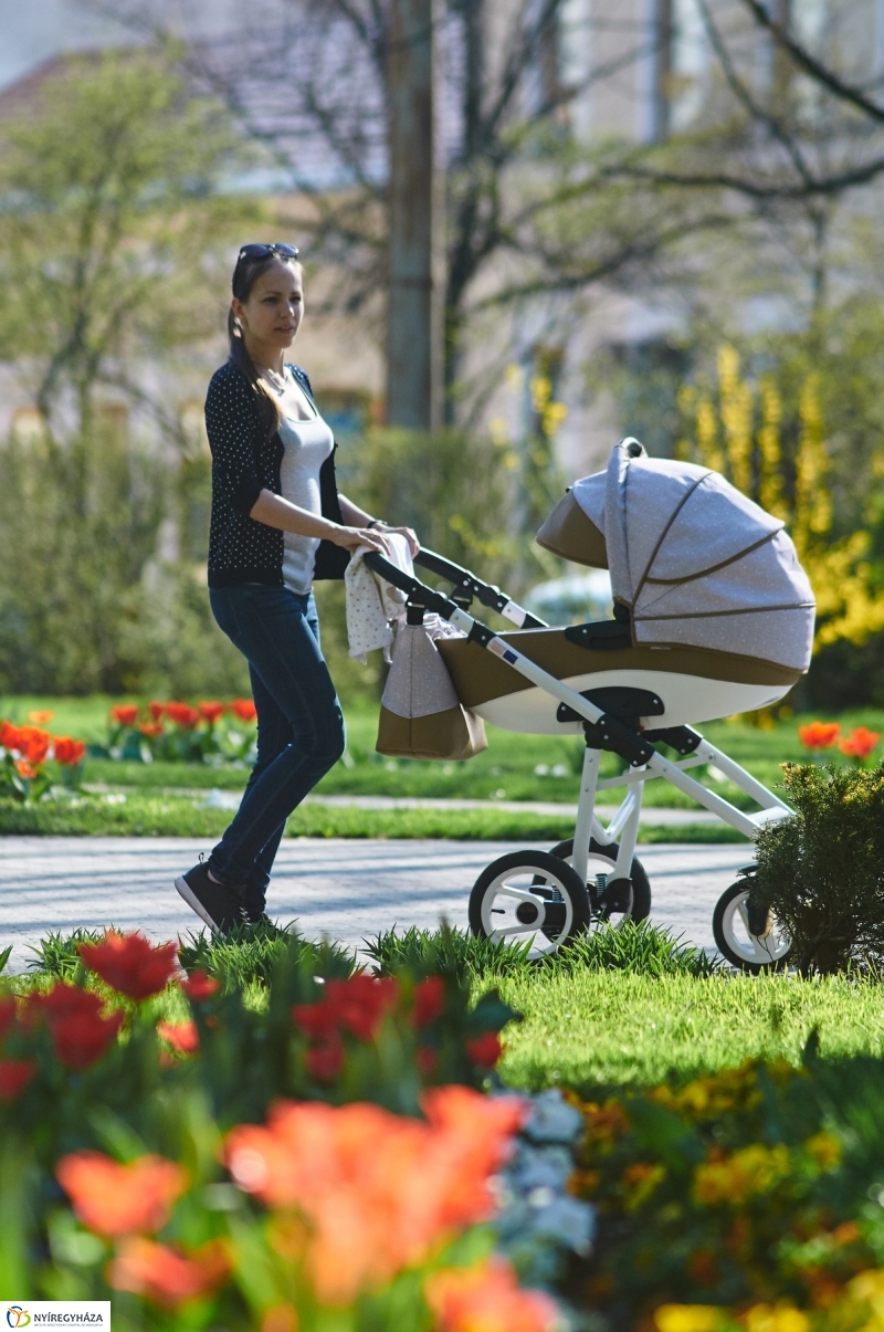 Az első tavaszi pillanatok - fotó Szarka Lajos