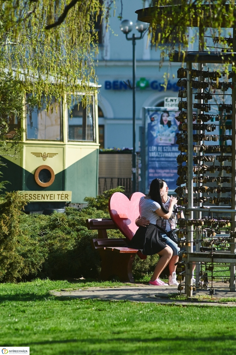 Az első tavaszi pillanatok - fotó Szarka Lajos
