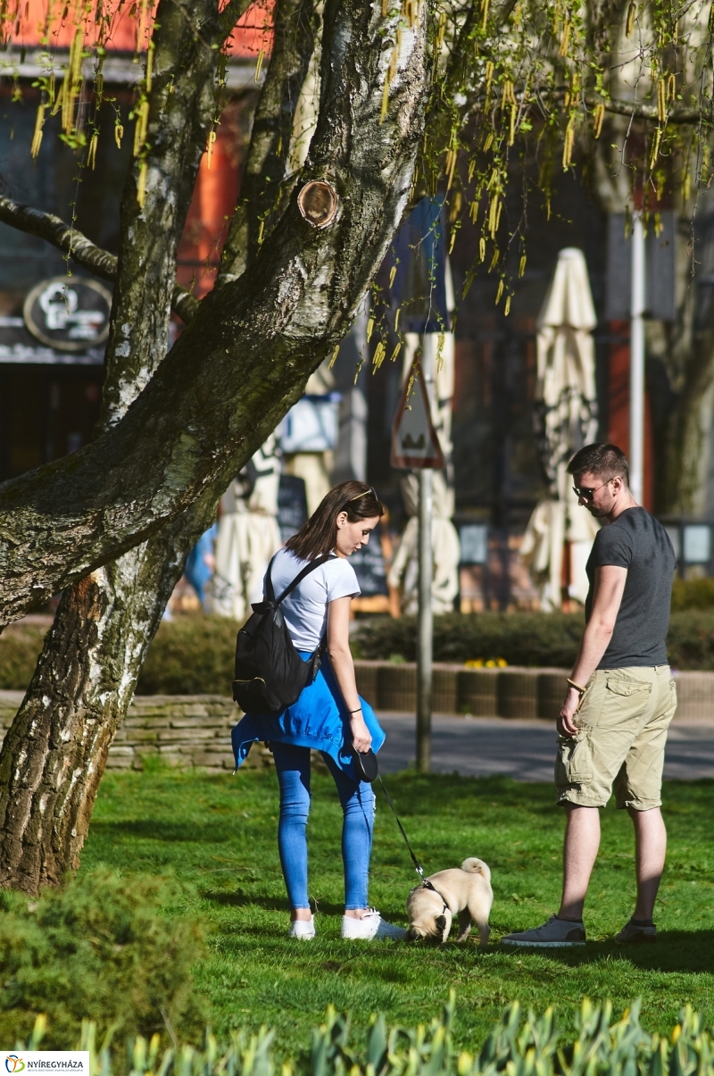 Az első tavaszi pillanatok - fotó Szarka Lajos