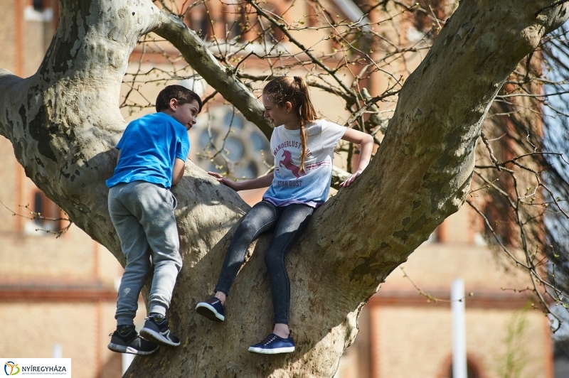 Nyár a tavaszban - fotó Szarka Lajos