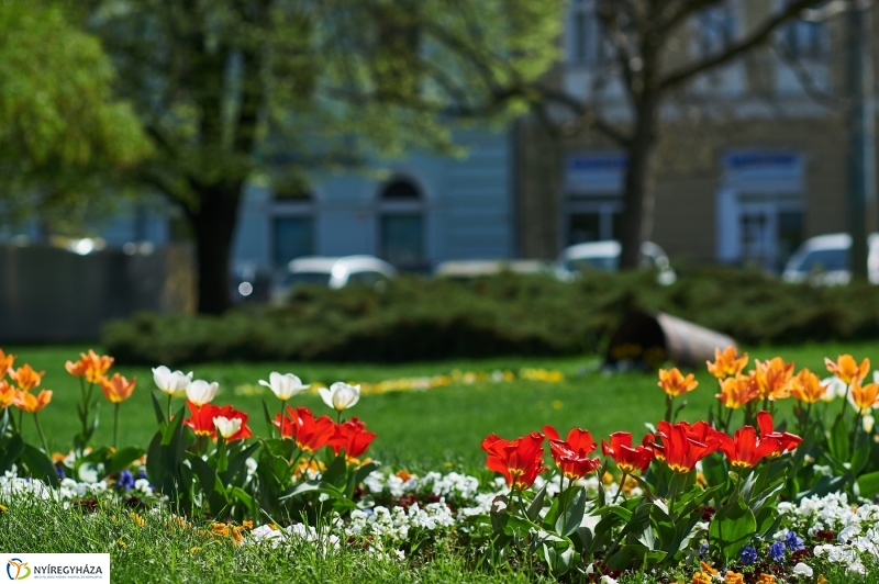 Nyár a tavaszban - fotó Szarka Lajos