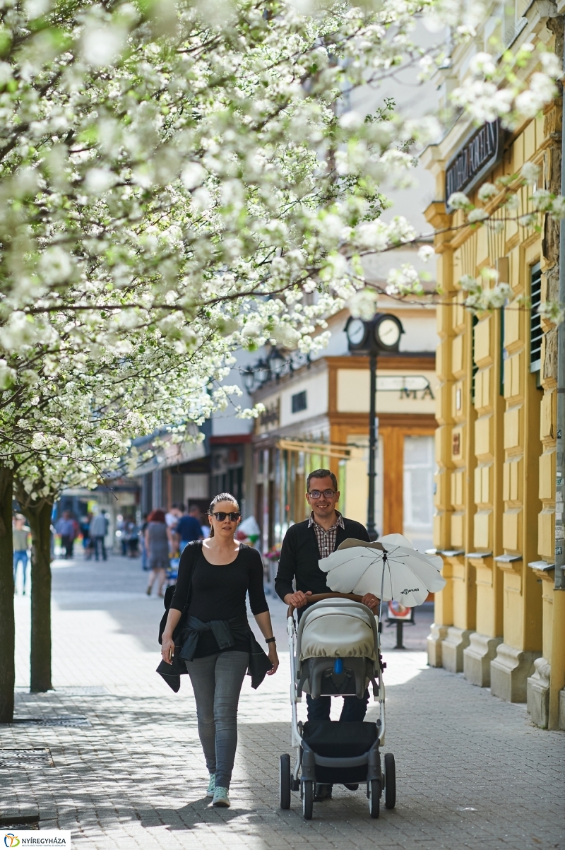 Nyár a tavaszban - fotó Szarka Lajos