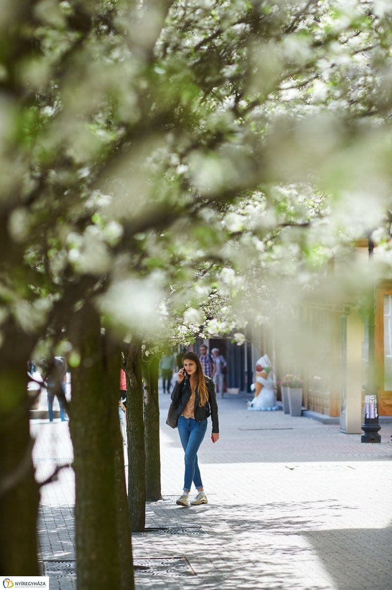 Nyár a tavaszban - fotó Szarka Lajos
