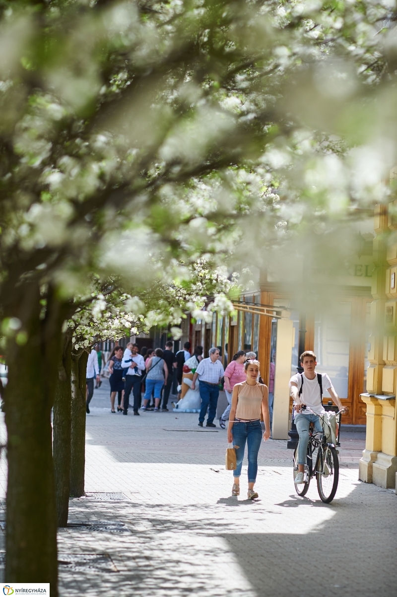 Nyár a tavaszban - fotó Szarka Lajos