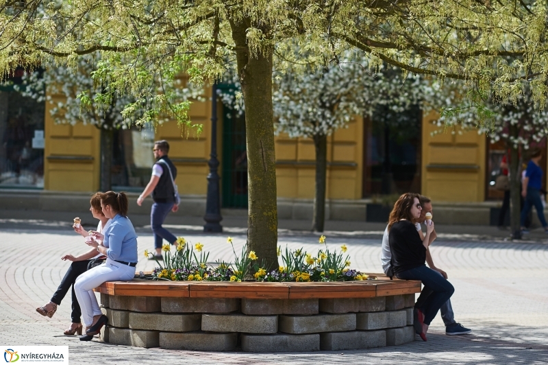 Nyár a tavaszban - fotó Szarka Lajos