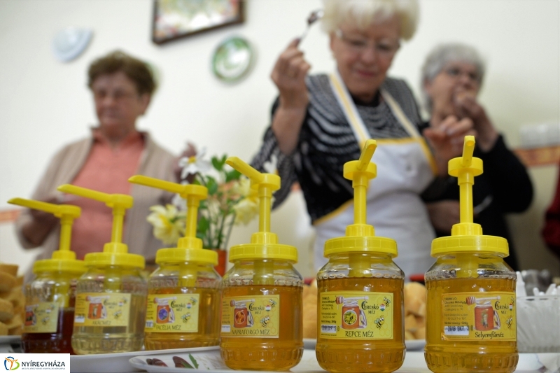 Nyugdíjas egészségnap Nyírszőlősön - fotó Trifonov Éva