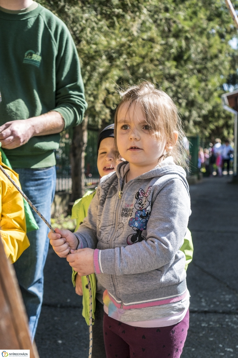 Közlekedésbiztonsági nap - fotó Kohut Árpád