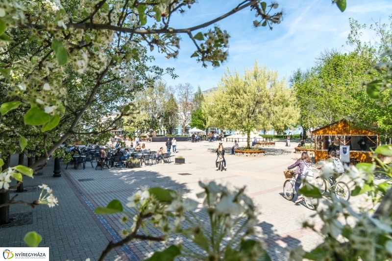 Ifjúsági Hét a Kossuth téren - fotó Kohut Árpád