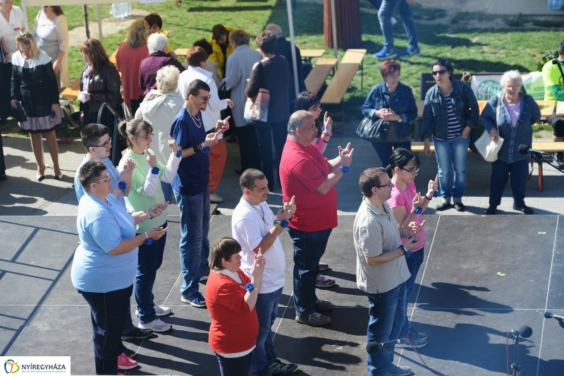 Helló Nyíregyháza délelőtt 1  - fotó Trifonov Éva