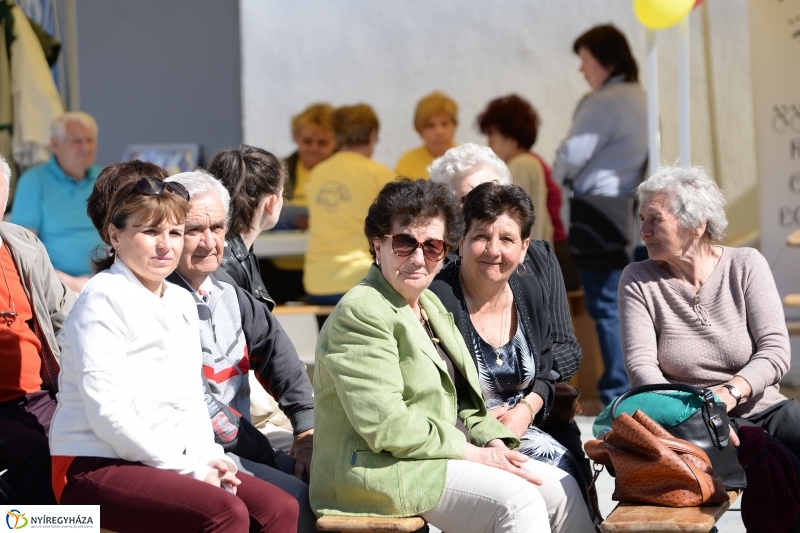 Helló Nyíregyháza délelőtt 1  - fotó Trifonov Éva