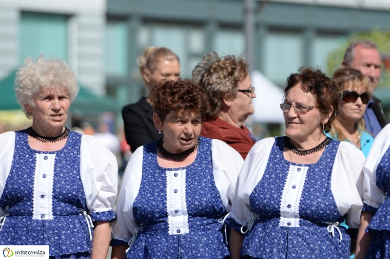 Helló Nyíregyháza délelőtt 1  - fotó Trifonov Éva