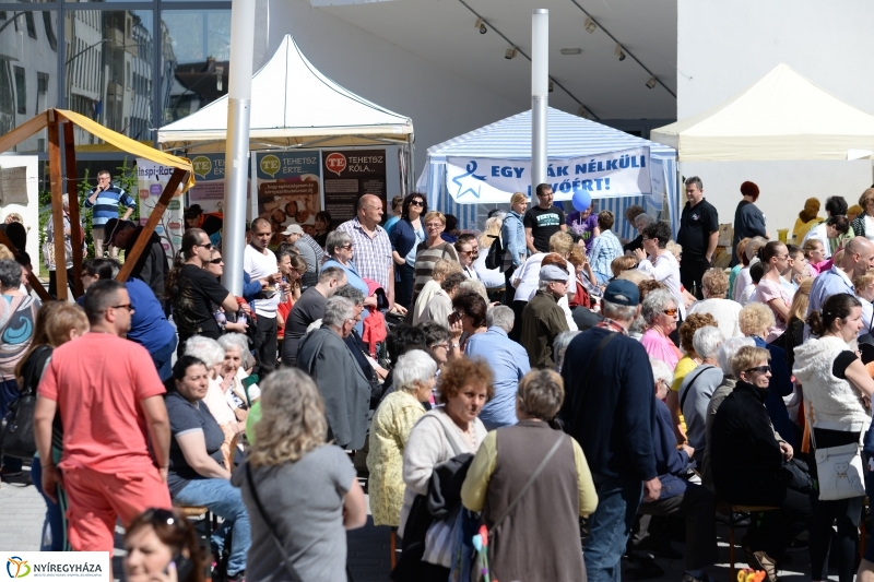 Helló Nyíregyháza délelőtt 2 - fotó Trifonov Éva