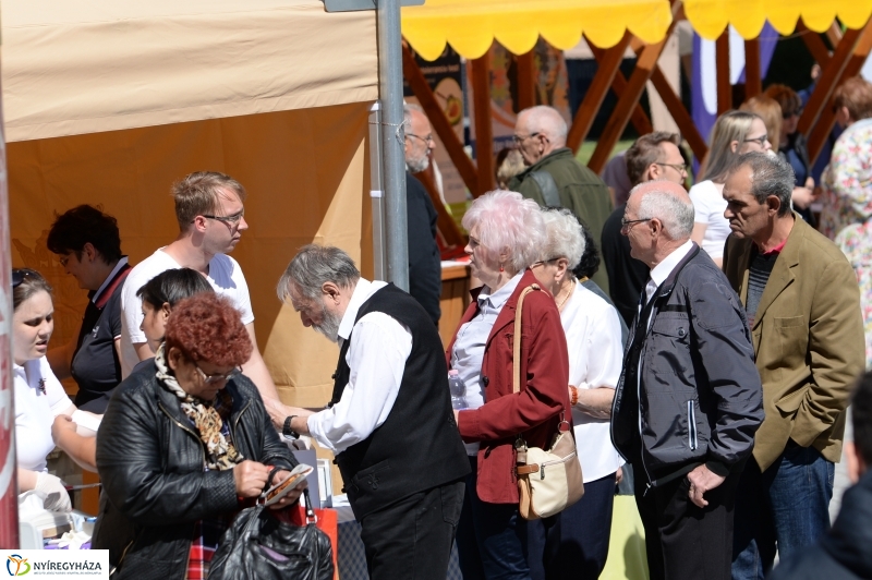 Helló Nyíregyháza délelőtt 2 - fotó Trifonov Éva