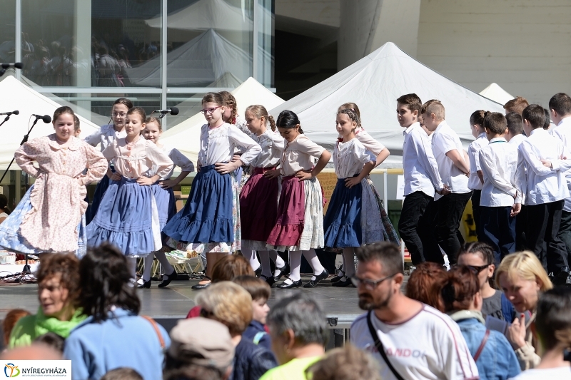 Helló Nyíregyháza délelőtt 2 - fotó Trifonov Éva