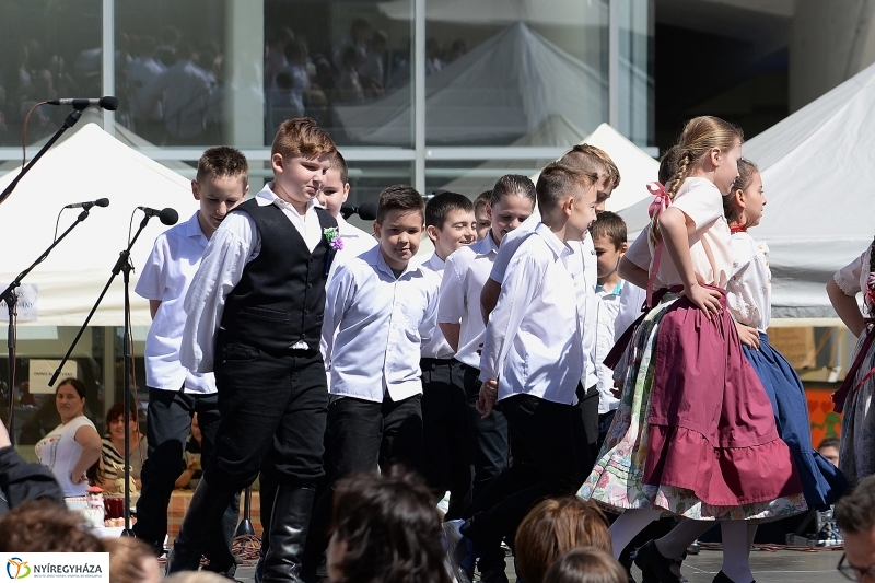 Helló Nyíregyháza délelőtt 2 - fotó Trifonov Éva