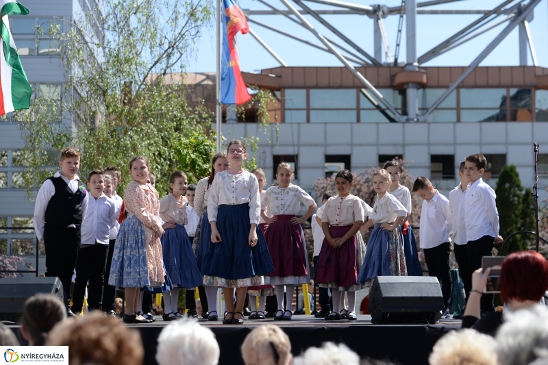 Helló Nyíregyháza délelőtt 2 - fotó Trifonov Éva