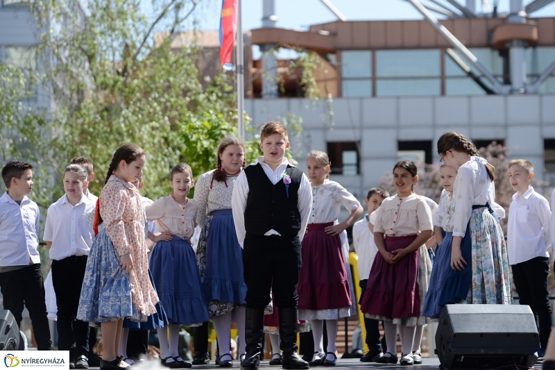 Helló Nyíregyháza délelőtt 2 - fotó Trifonov Éva