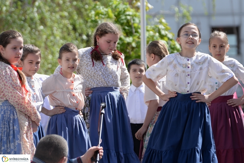 Helló Nyíregyháza délelőtt 2 - fotó Trifonov Éva