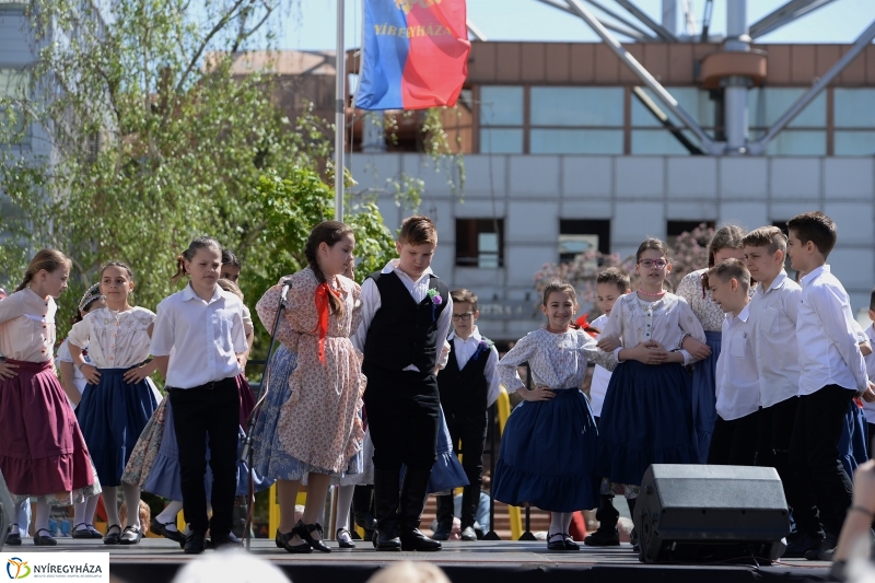 Helló Nyíregyháza délelőtt 2 - fotó Trifonov Éva