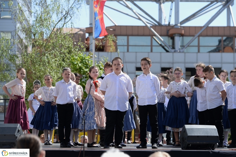 Helló Nyíregyháza délelőtt 2 - fotó Trifonov Éva