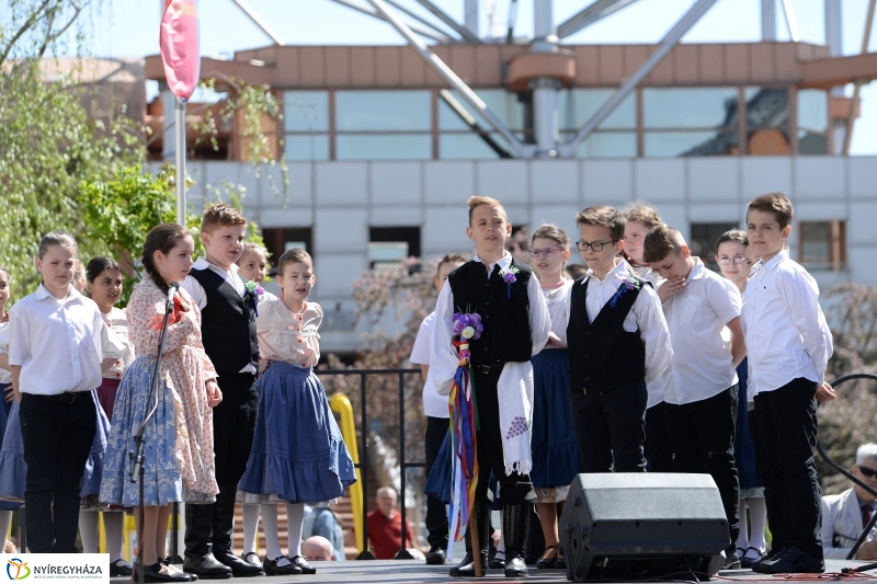 Helló Nyíregyháza délelőtt 2 - fotó Trifonov Éva